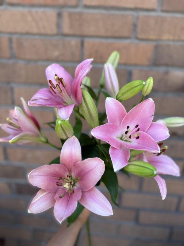 Bukett Rosa liljor - Bild 3