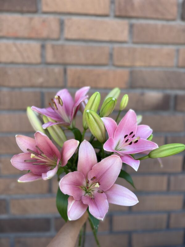 Bukett Rosa liljor - Bild 2