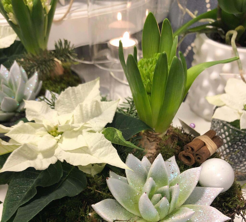 Julblommor Julgrupper Julkransar