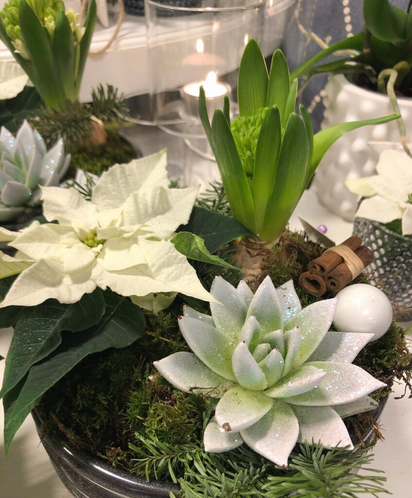 Julblommor