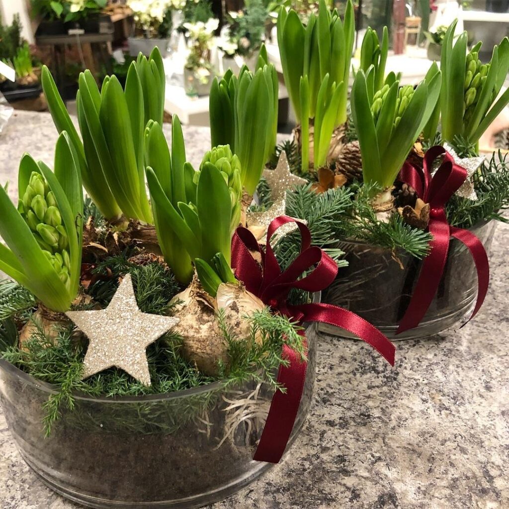Julblommor