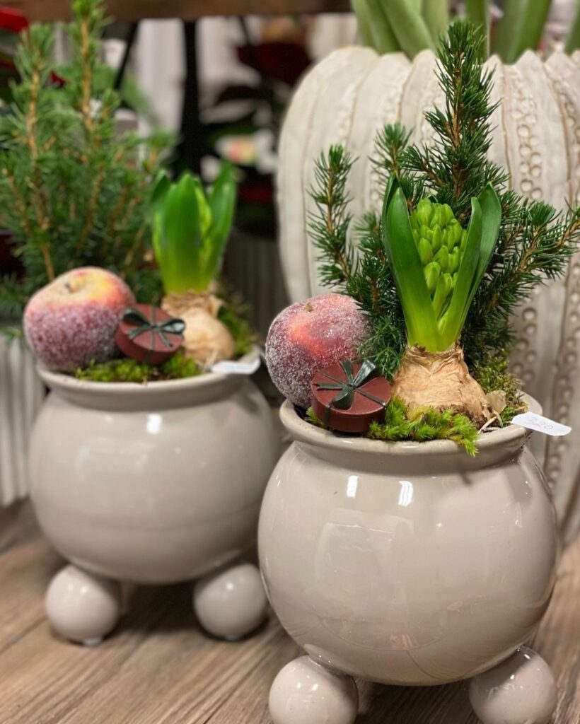 Julblommor