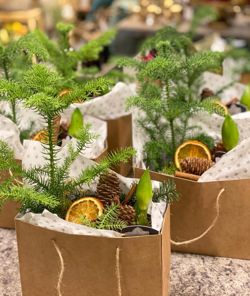Julblommor