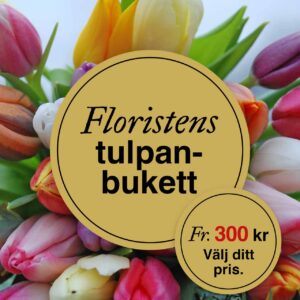 Floristens - tulpanbukett