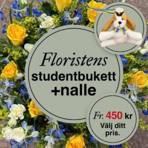 Studentbukett + nalle att hänga runt halsen