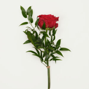 Handblomma