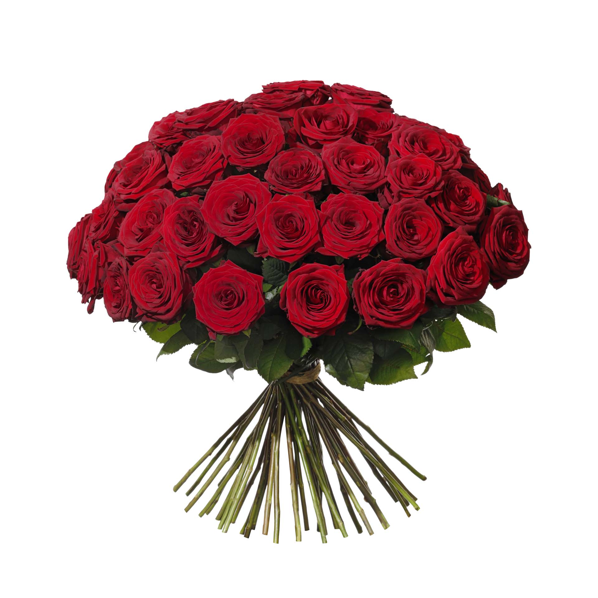 Lyxig Rosbukett - 50st rosor