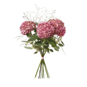 Hortensia bukett